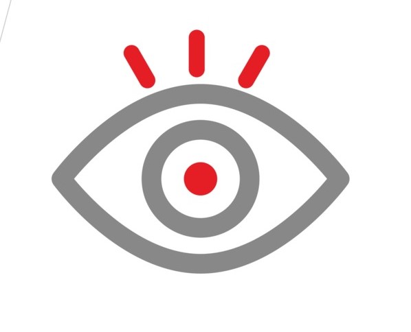 Vision icon